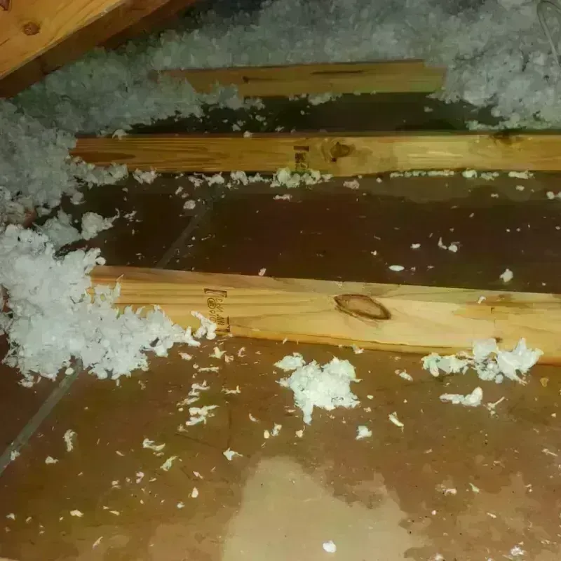 Attic Water Damage in Columbia County, AR