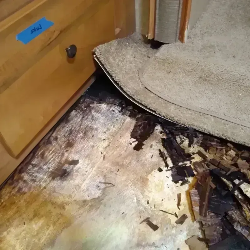 Wood Floor Water Damage in Columbia County, AR